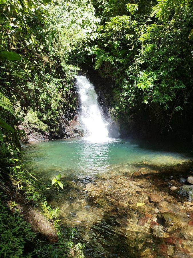 Pozas Y Cascadas La Presa Rio Cuarto ภายนอก รูปภาพ